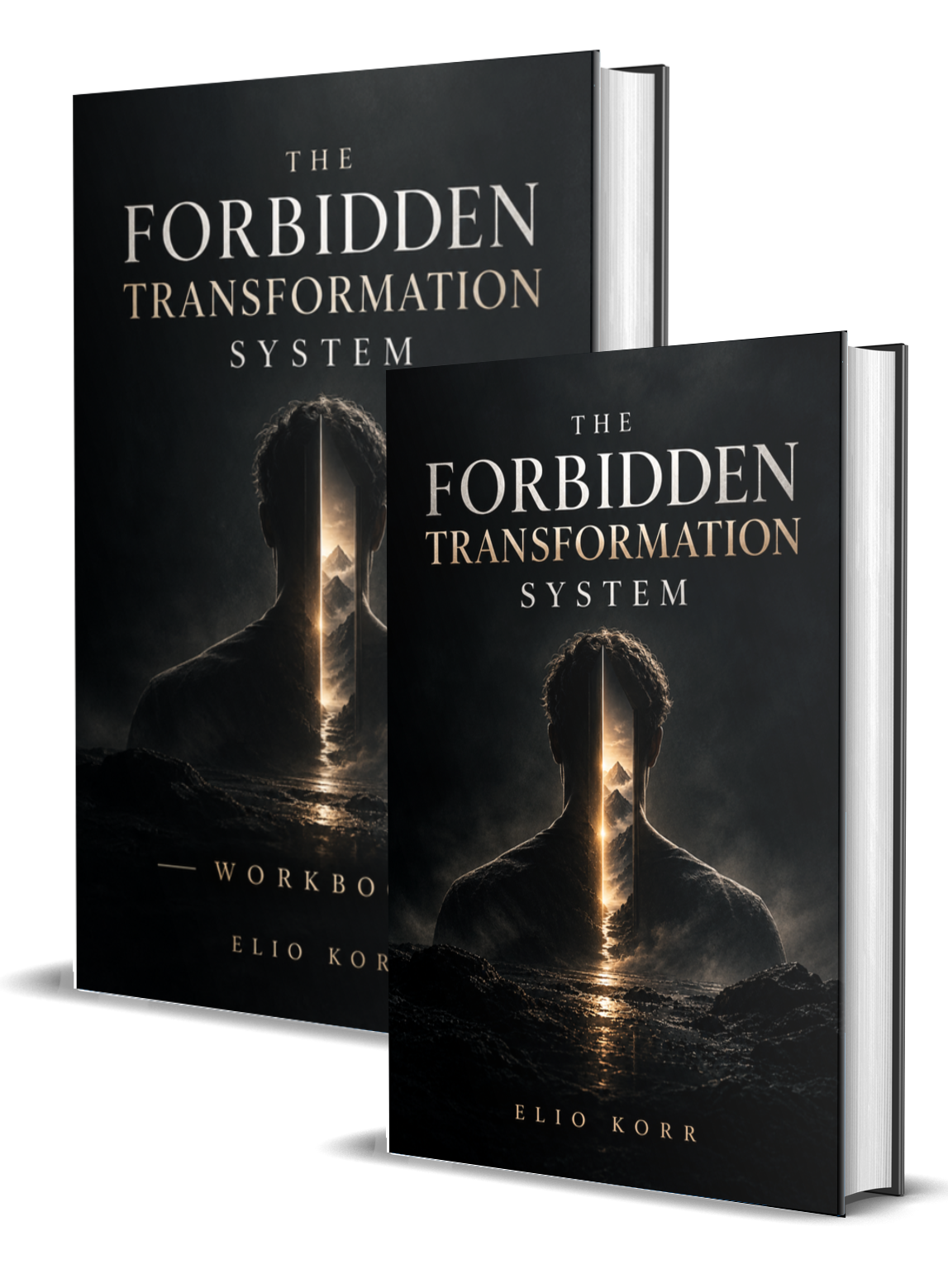 The Forbidden Transformation System (eBook + Workbook) 